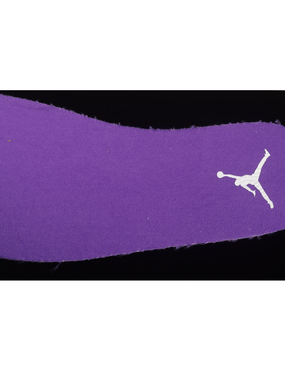 Air Jordan 4Court PurpleAJ4 4 CT8527115